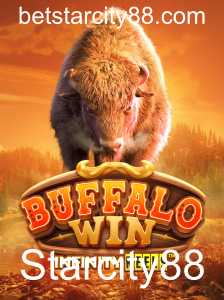 Explorando o Mundo de BuffaloWin no Starcity88